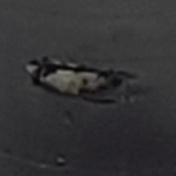 House of Harlow 1960 Mason fringed Heel sandal - Picture 9 of 16